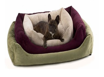 dog bed