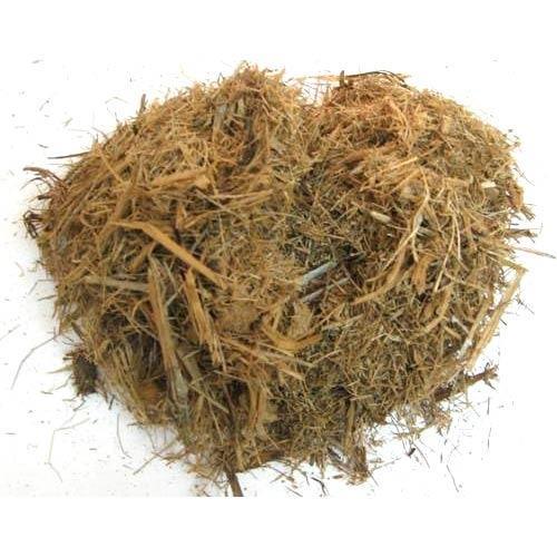 CORN SILAGE - SUGAR CANE BAGASSE