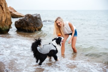 cani.cool ultimate cooling dog vest