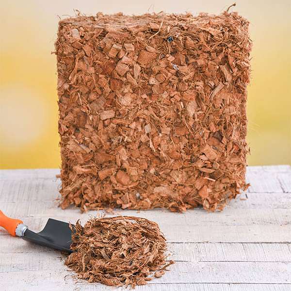 nurserylive-soil-and-fertilizers-coco-husk-block-4-5-kg-16968789753996.jpg